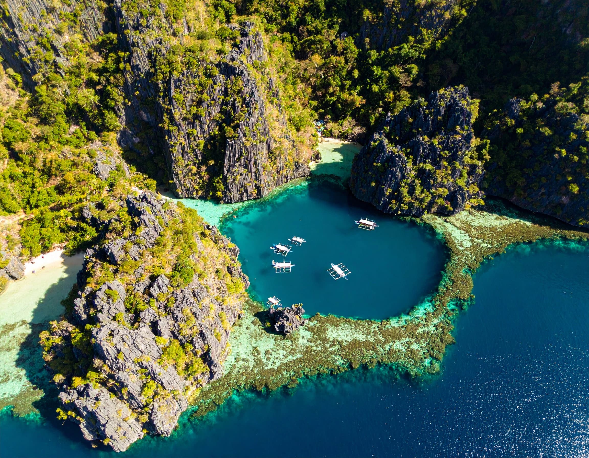 Coron, Palawan : Plongée sur Épaves et Lacs Cristallins